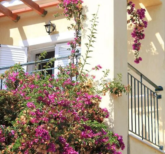 Maria's Garden