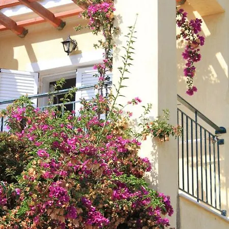 Maria's Garden